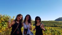 IMG-20181014-WA0008